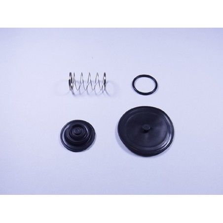 Kit Reparación grifo de gasolina GL15000 FCK-41 - motoscamaralweb.com