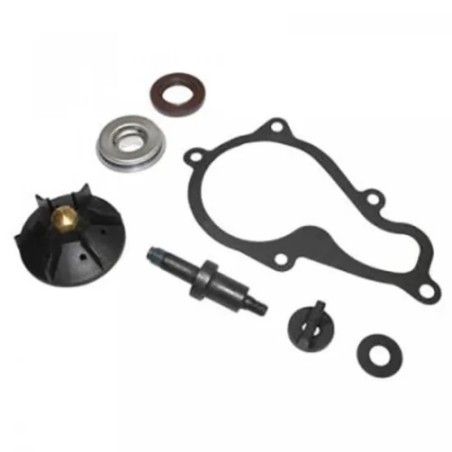 Kit de reparación de bomba de agua TOP PERFORMANCES - Piaggio Beverly 350 - motoscamaralweb.com