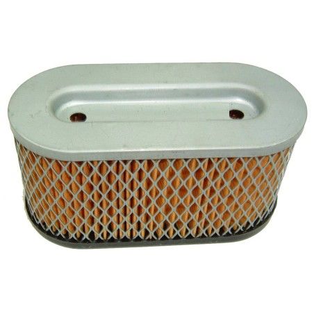 FILTRO AIRE AD BRIGGS (REF.ORIG. 491950)- motoscamaralweb.com