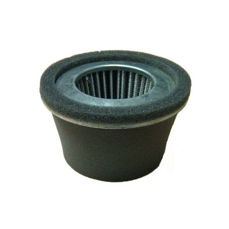 FILTRO AIRE AD BRIGGS MOD.100700 (3.5HP)MOTORES QUANTUM- motoscamaralw