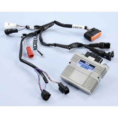 Centralita ECM POLINI - motoscamaralweb.com