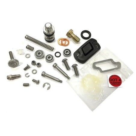 Kit de reparación de bomba BERINGER- motoscamaralweb.com