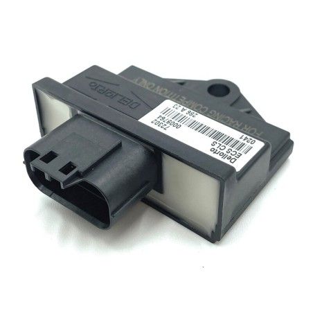 Centralita ECU ECS DELLORTO Racing 33Km/h - motoscamaralweb.com