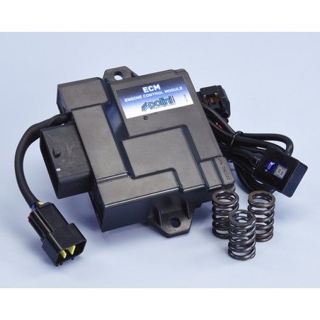 Centralita ECM POLINI - motoscamaralweb.com