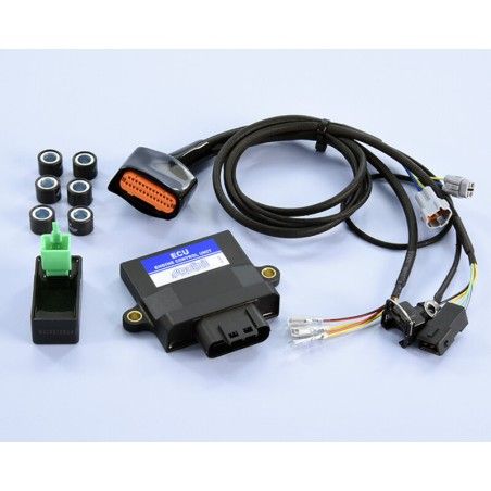 Centralita ECU POLINI - motoscamaralweb.com