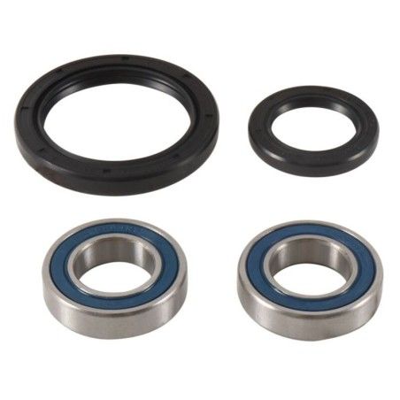 Kit de rodamientos de rueda trasera ALL BALLS - motoscamaralweb.com