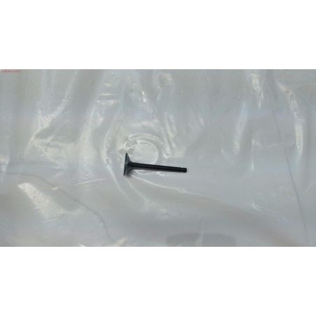 VALVULA ESC GY 150WS 15HP- motoscamaralweb.com