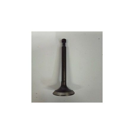 VALVULA ESCAPE MOTOR GOODYEAR GY160- motoscamaralweb.com