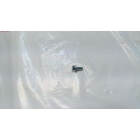 TORNILLO CUCHILLA CORTACESPED ELECTRICO GOODYEAR- motoscamaralweb.com