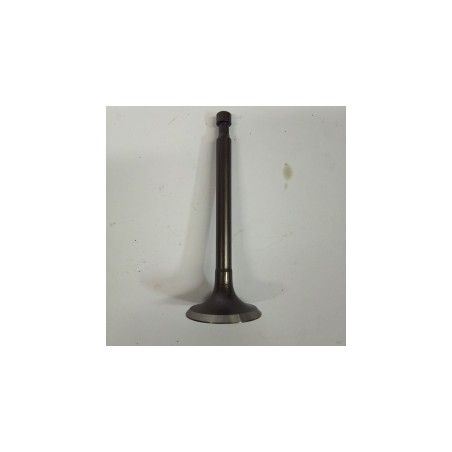 VALVULA ADMISION GY270/300- motoscamaralweb.com