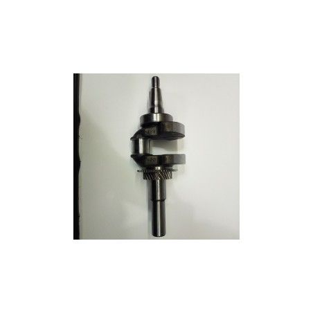 CIGÜEÑAL COMPLETO GY300 S- motoscamaralweb.com