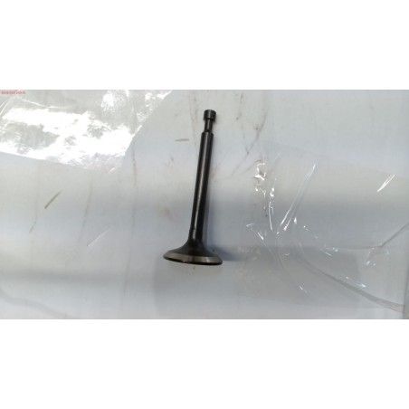 VALVULA ESCAPE CORTACESPED GOOD YEAR GY 51LM- motoscamaralweb.com