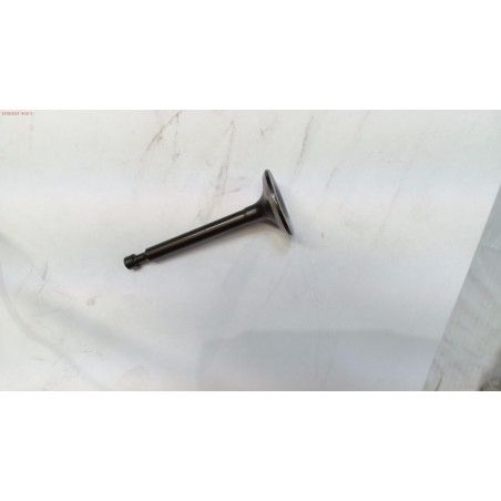 VALVULA ESCAPE CORTACESPED GOOD YEAR GY 53LM- motoscamaralweb.com