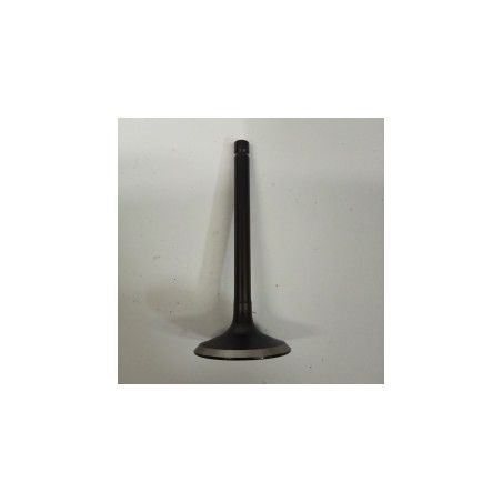 VALVULA ESCAPE GY5500G/AE- motoscamaralweb.com