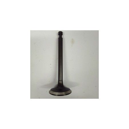 VALVULA ESCAPE GY420- motoscamaralweb.com