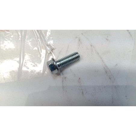TORNILLO 6X16 GY53LM- motoscamaralweb.com