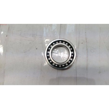 RODAMIENTO 6007 GY6100TL/GY6200DTL- motoscamaralweb.com
