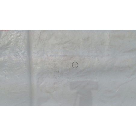 GRUPILLA BULON- motoscamaralweb.com