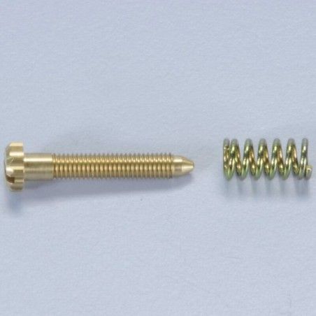 Tornillo y muelle para ajuste del mínimo Polini. para carburador PWK (342.0109) - motoscamaralweb.com