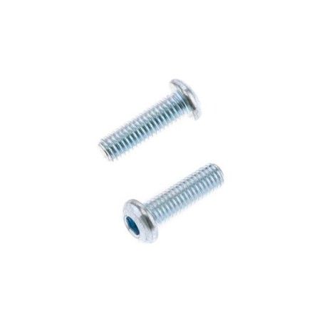 Tornillos cabeza redonda gruesa BOLT M6 x 1 x 20mm - motoscamaralweb.com