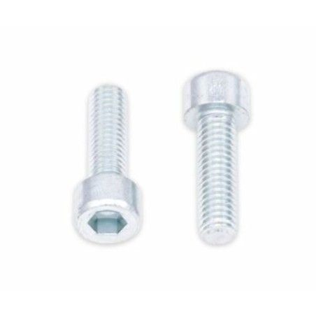 Tornillos BTR BOLT M6 x 1 x 20mm - motoscamaralweb.com