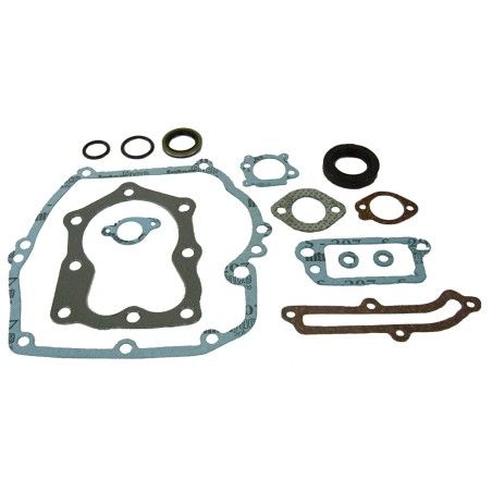 KIT JUNTAS AD BRIGGS - 14PIEZAS- motoscamaralweb.com