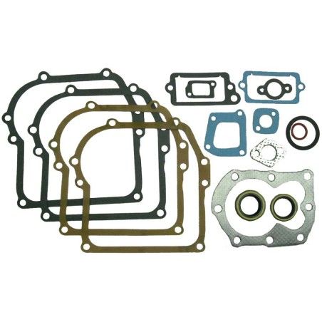 KIT JUNTAS AD BRIGGS (REF.ORIG. 699933)- motoscamaralweb.com
