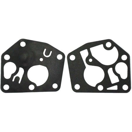 MEMBRANA AD. BRIGGS (REF. ORIG. 795083)- motoscamaralweb.com