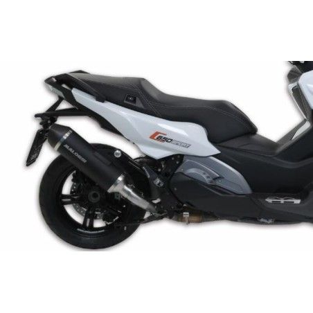 Silenciador Malossi Wild Lion BMW C650 Sport - motoscamaralweb.com