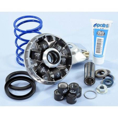 Variador Polini Hi-Speed EVO Piaggio D16-12.5º 241.749 - motoscamaralweb.com