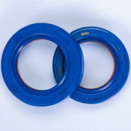 Retenes de cigüeñal POLINI motor Minarelli AM6 - motoscamaralweb.com