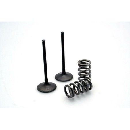 Kit de válvula acero y muelle Prox escape Suzuki 28.SES3406-1 - motoscamaralweb.com