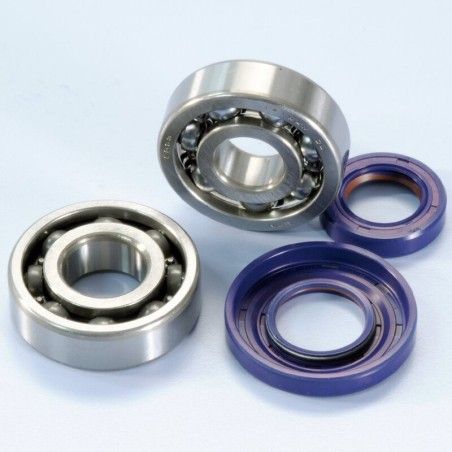 Kit rodamientos y retenes de cigüeñal POLINI Vespa Ø20 - motoscamaralweb.com