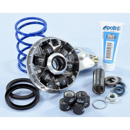 Variador Polini Hi-Speed EVO Piaggio D16-12.5º 241.748 - motoscamaralweb.com
