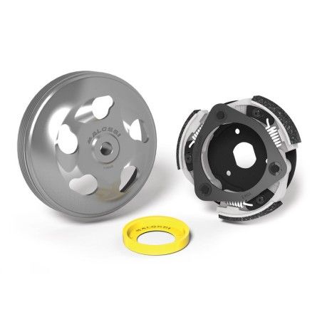 Embrague y campana Malossi Ø 135 Maxi delta system - motoscamaralweb.com