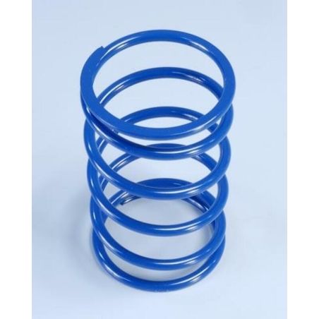 Muelle de contraste POLINI YAMAHA T-MAX 500 (243080) - motoscamaralweb.com