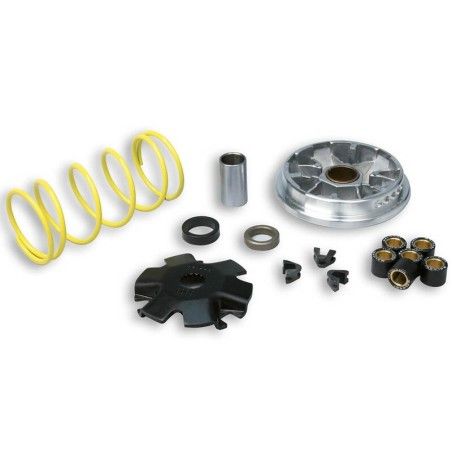 Variador Malossi 5111151 Derbi Variant / Predator- motoscamaralweb.com