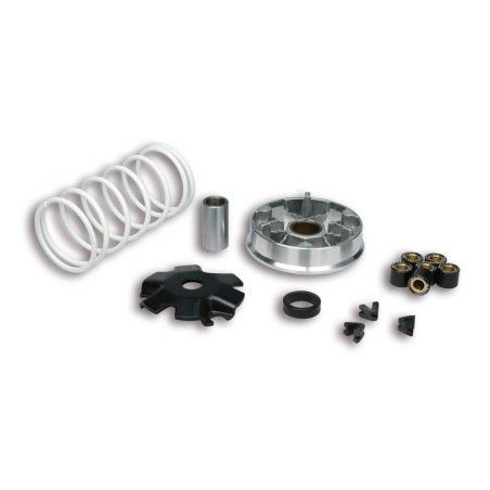 Variador Multivar Malossi KYMCO 2T AGILITY/DINK/SUPER8-9 51 9988- moto