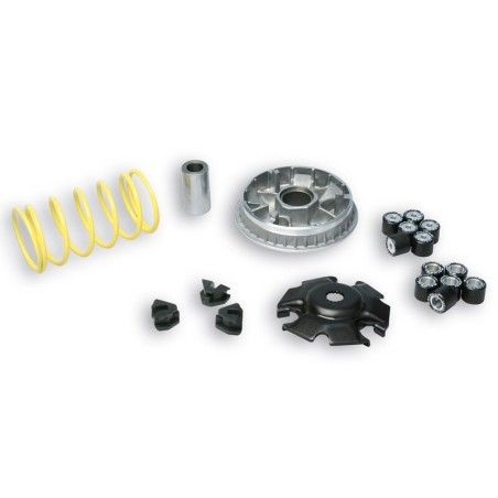 Variador Multivar Malossi Yamaha X-MAX/MAJESTY 125 MBK SKYCRUISER/SKYL