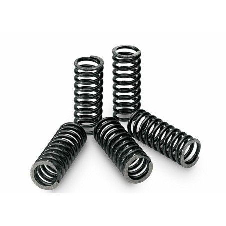 Kit de muelles de embrague TECNIUM - motoscamaralweb.com