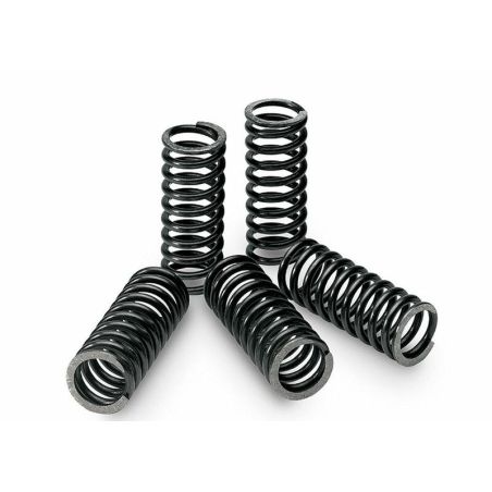 Kit de muelles de embrague TECNIUM - motoscamaralweb.com