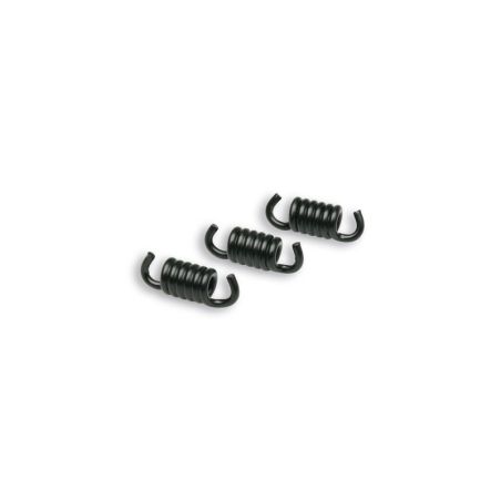 Kit de muelles de embrague MALOSSI Racing Ø2.2mm negros para embrague Delta y Fly Clutch - motoscamaralweb.com
