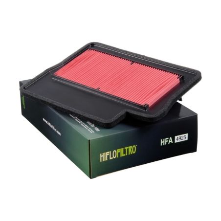 Filtro de aire HIFLOFILTRO - HFA4925 - motoscamaralweb.com