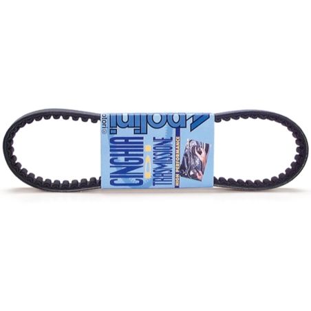 Correa de transmision POLINI standard - motoscamaralweb.com