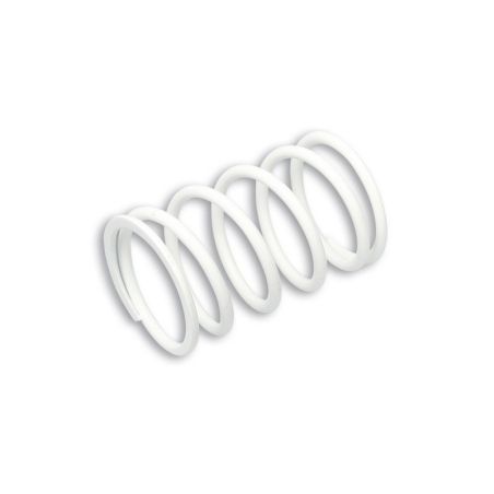 Muelle variador MALOSSI ø exterior 60x95 mm - ø alambre 5 mm - K 10 - motoscamaralweb.com