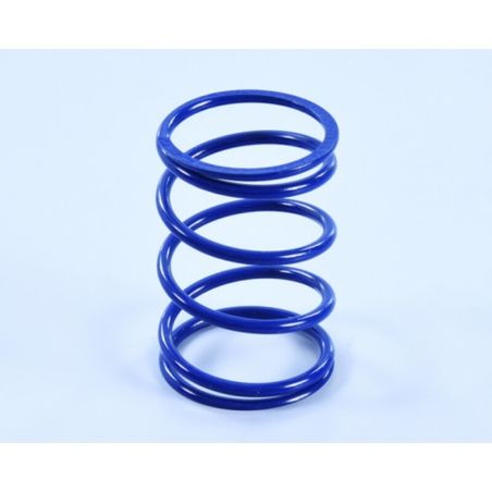 Muelle de contraste POLINI - motoscamaralweb.com