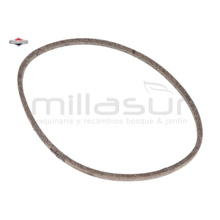 CORREA - motoscamaralweb.com