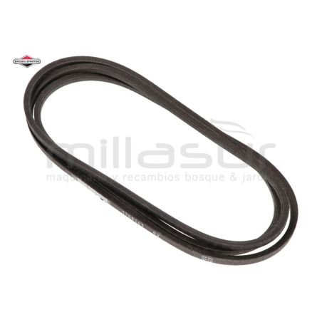 CORREA - motoscamaralweb.com