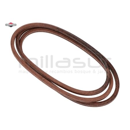 CORREA - motoscamaralweb.com