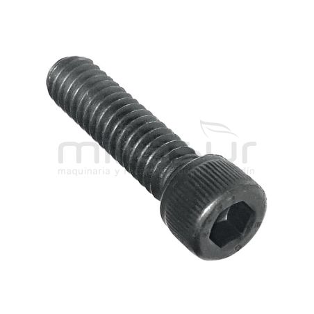 TORNILLO HUSQVARNA 61. 266. 268. 272. 281. 288. 394. 395. 3120. K1250 (CILINDRO) - motoscamaralweb.com